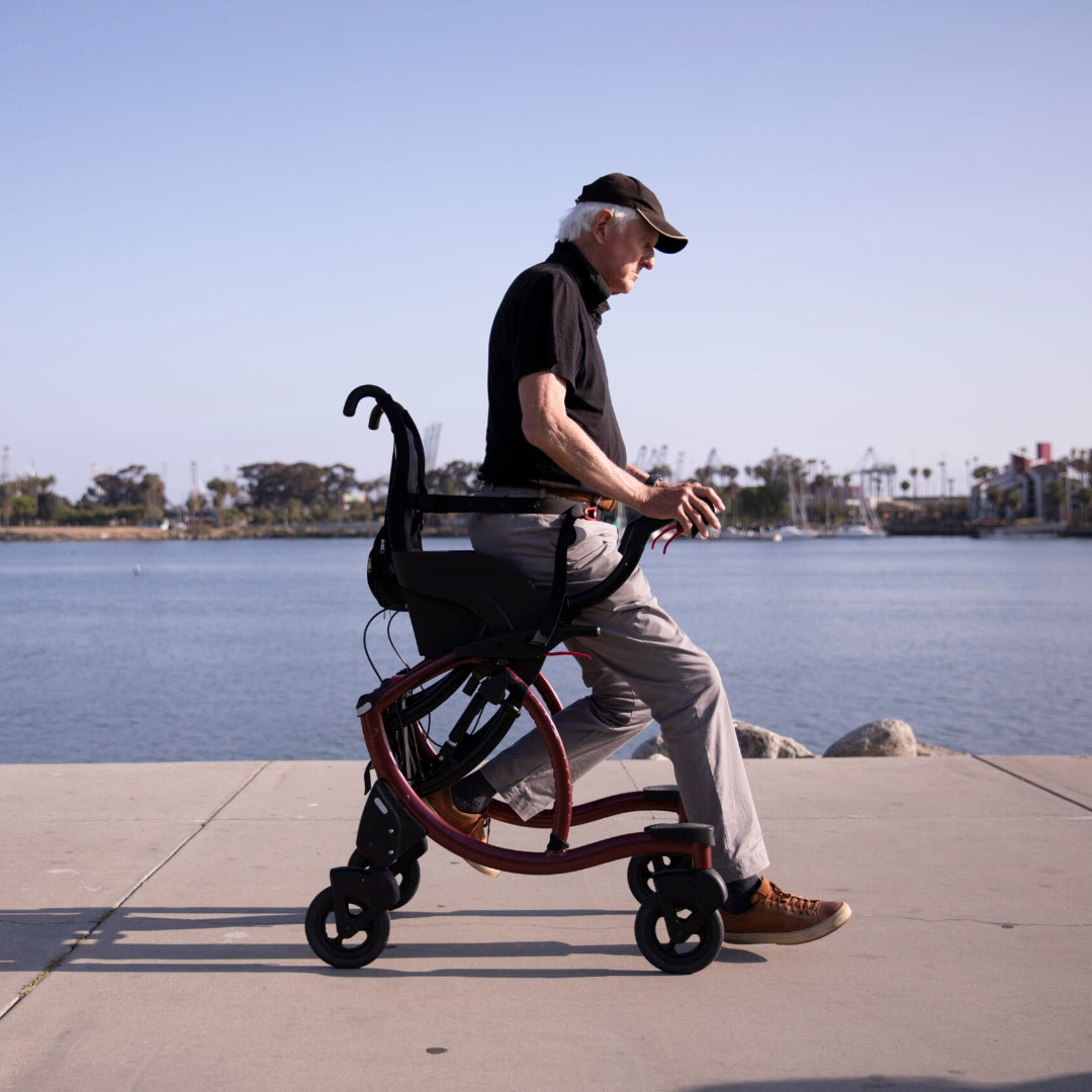 Assistive Walking Wheelchair