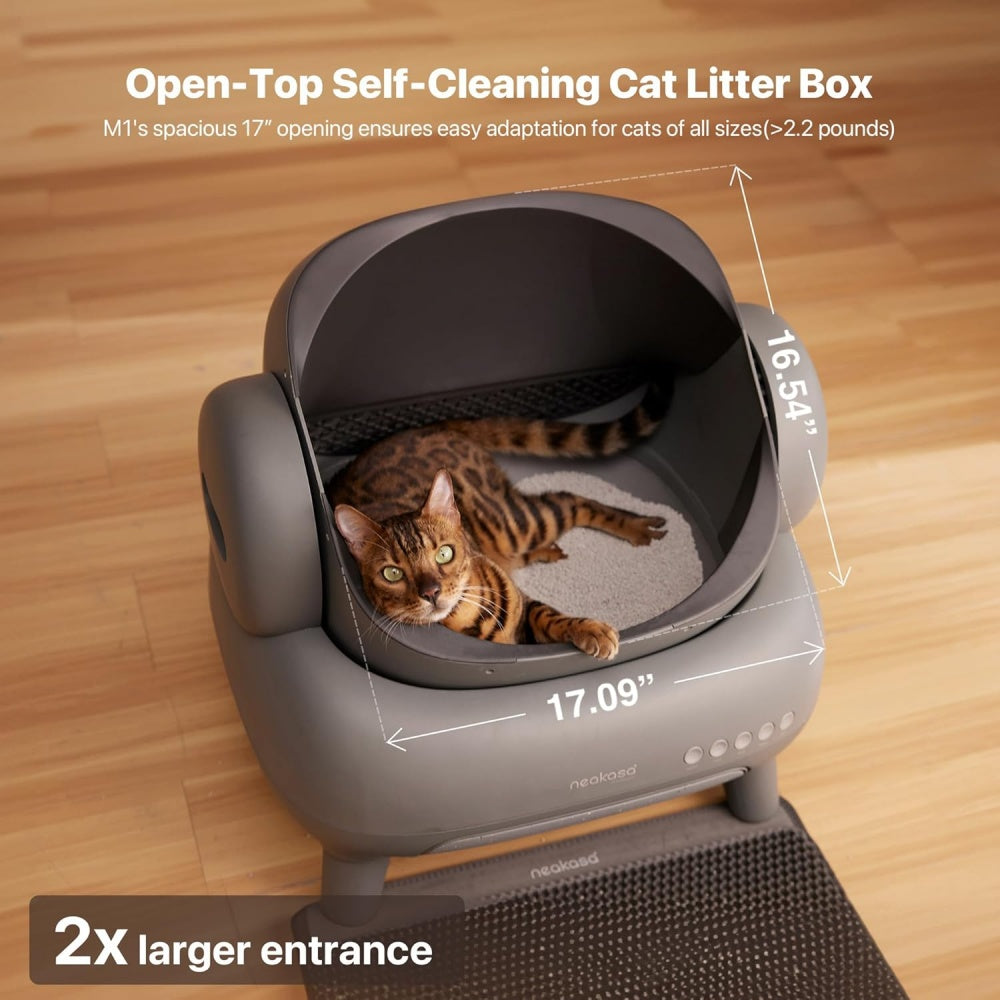 Automatic Litter Box