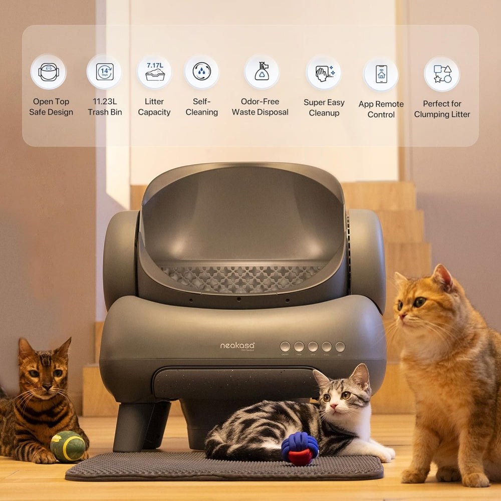 Automatic Litter Box