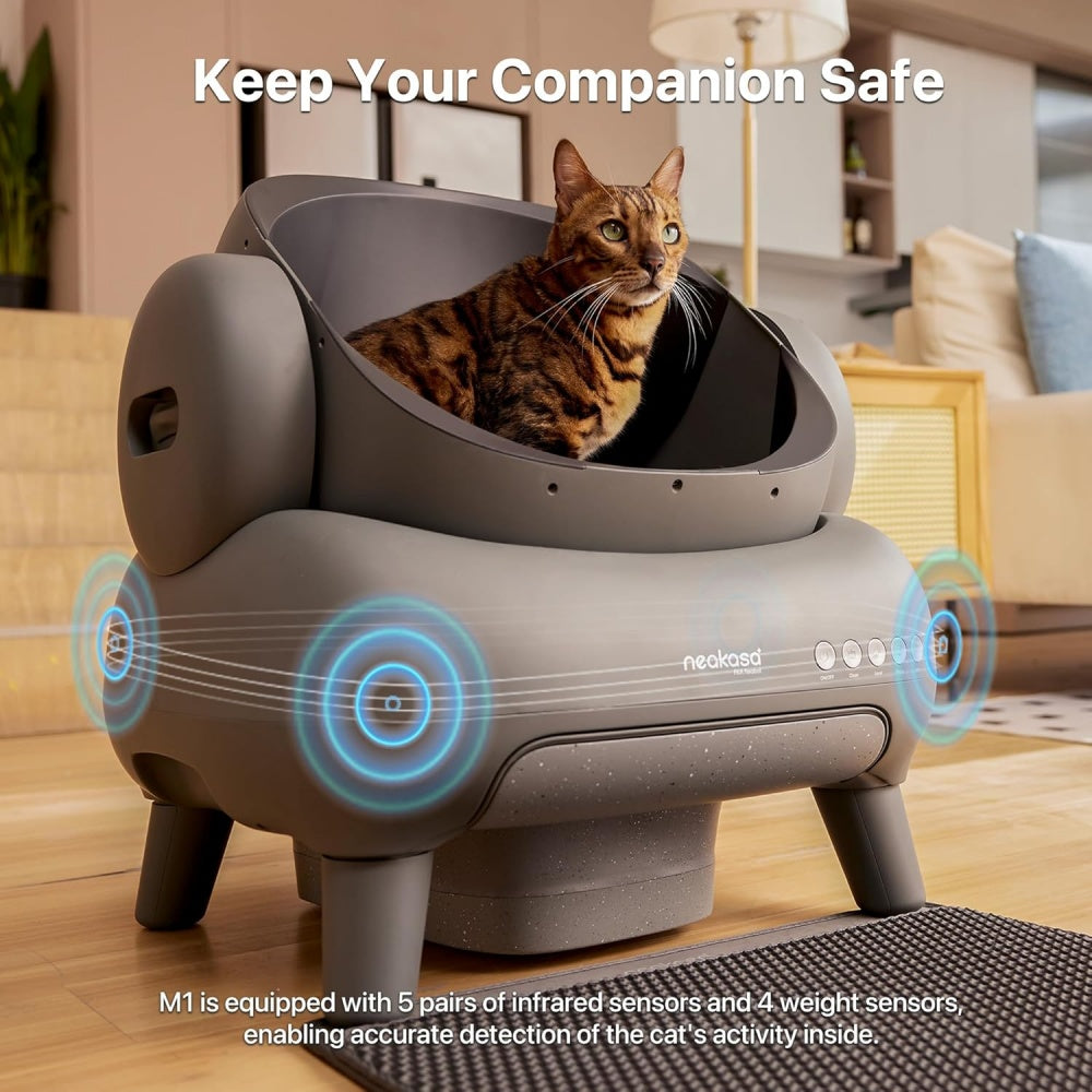 Automatic Litter Box