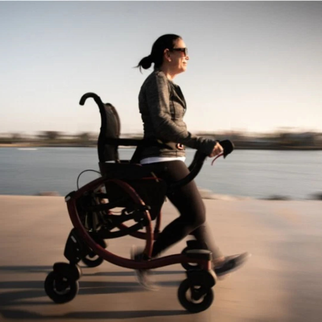 Assistive Walking Wheelchair