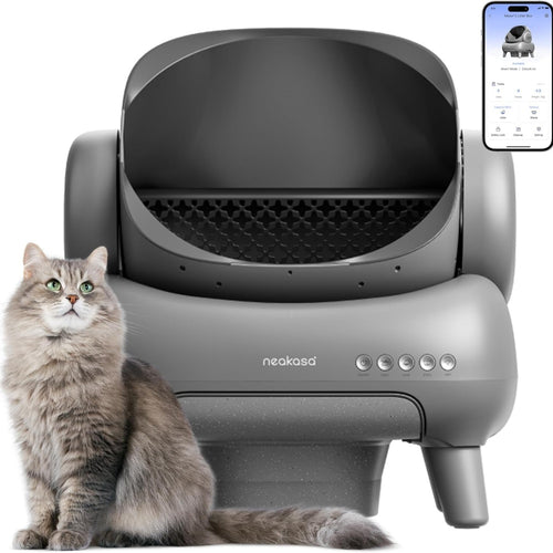 Automatic Litter Box