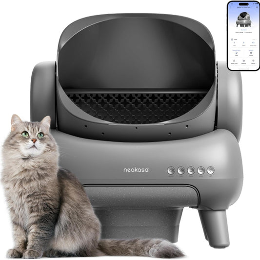 Automatic Litter Box